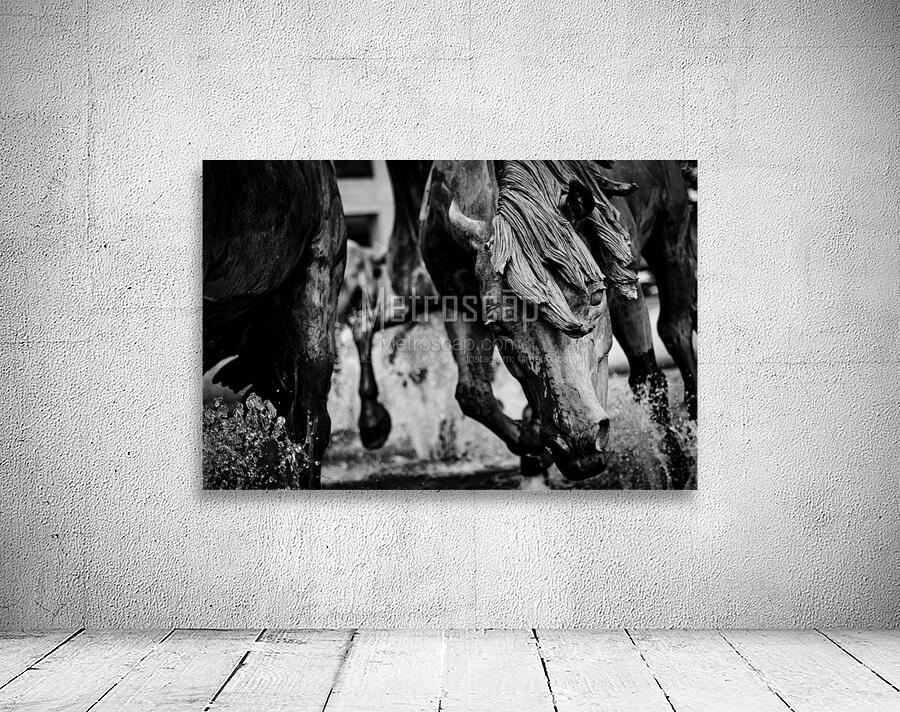 mustangs of las colinas  horizontal 2122 Stallion Wall Preview