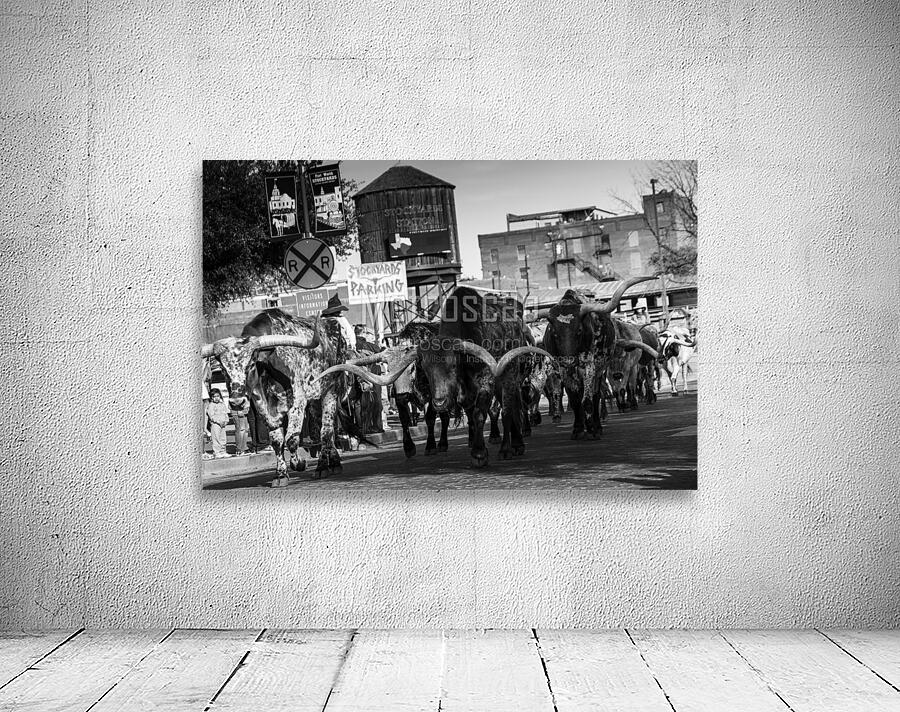 stockyard cattle drive  horizontal 803 Drive 13k. Wall Preview