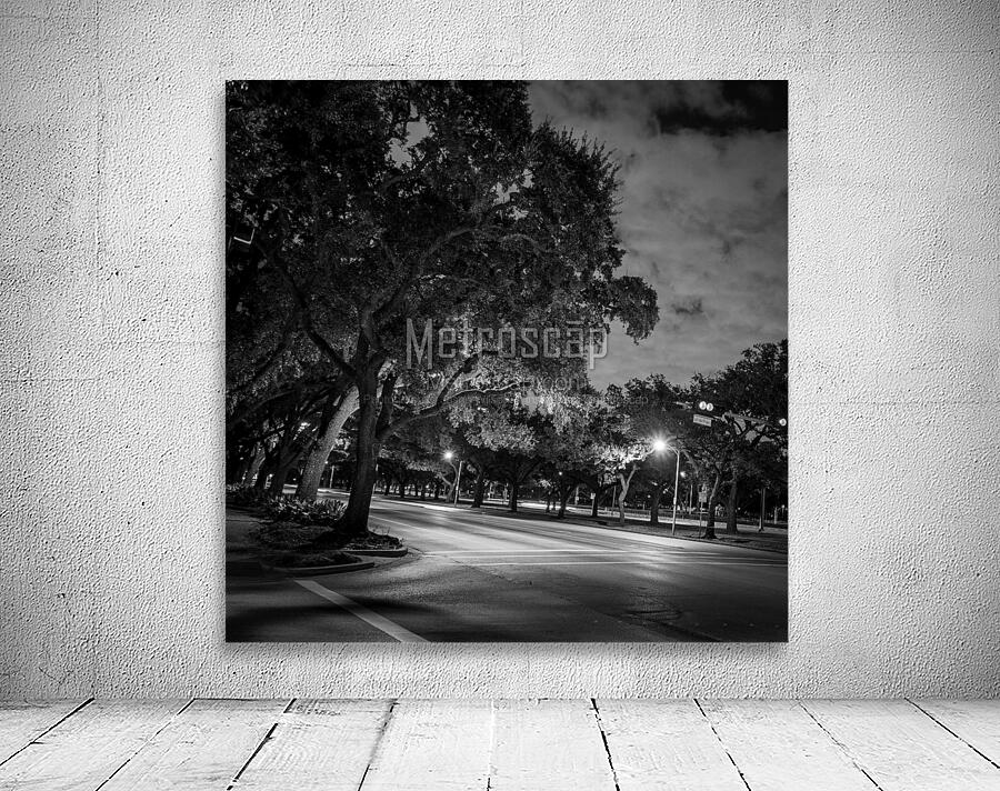 rice university main and fanin intersection  squa Wall Preview