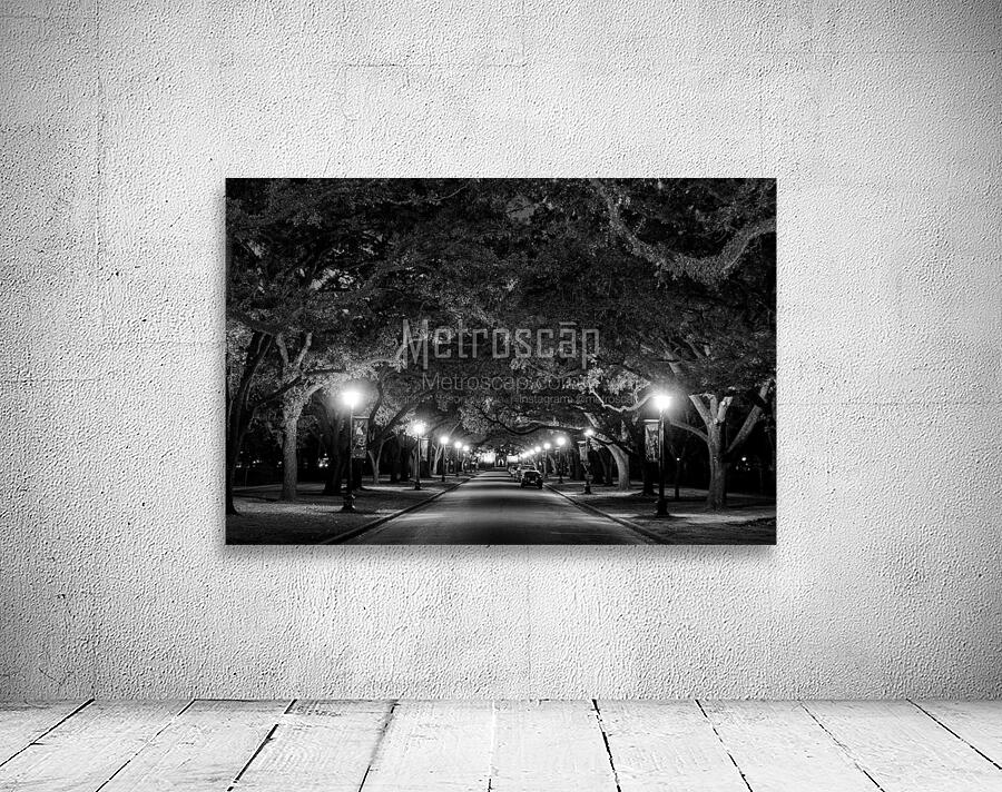 rice university at night  horizontal 938 Rice 13k Wall Preview