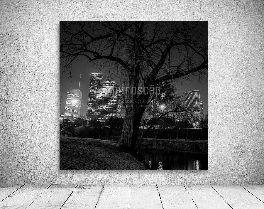 houston skyline in buffalo bayou  square 934 Oak Wall Preview