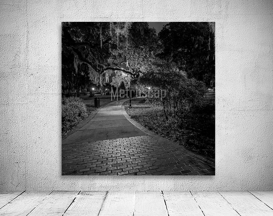 spanish moss plant museum  square 1116 Spanish 13 Wall Preview