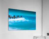 Morning Blues Acrylic Print