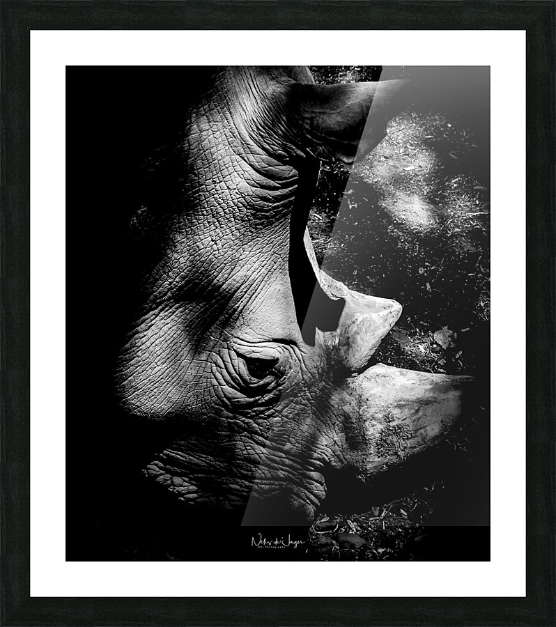 Sad Eyes Picture Frame print