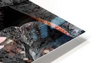 Lotus HD Metal print