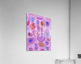 Abstract Circles In Violet Acrylic Print