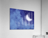 Starry Night.2png Acrylic Print