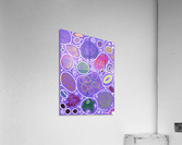 Circle Overload In Purple Acrylic Print