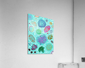 Circle Overload In Turquoise Acrylic Print
