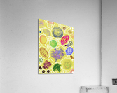 Circle Overload In Yellow Acrylic Print