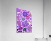 Circle Overload In Violet Acrylic Print