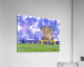 Enjoying The View Acrylic Print