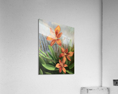 Tiger Lily Acrylic Print
