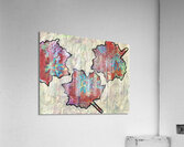 3 Maple Leaves Acrylic Print