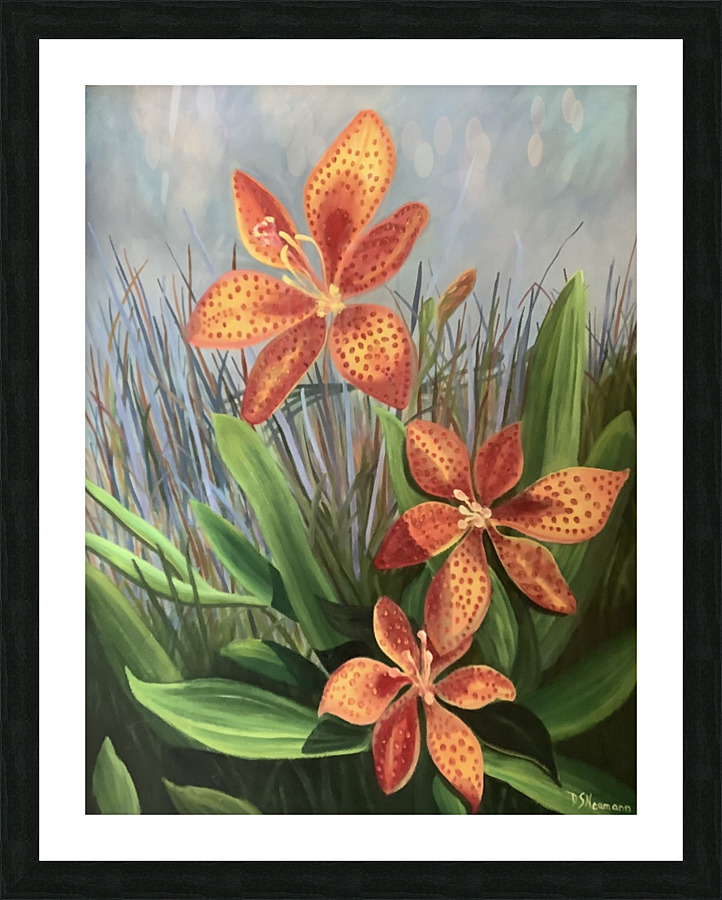 Tiger Lily Picture Frame print