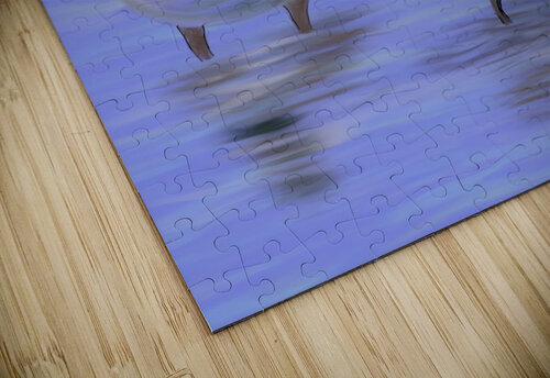 2 Geese Dorothea Neumann puzzle