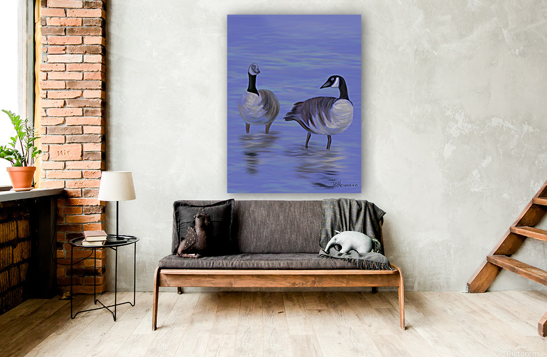 2 Geese Reproduction