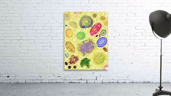 Circle Overload In Yellow Wall Preview