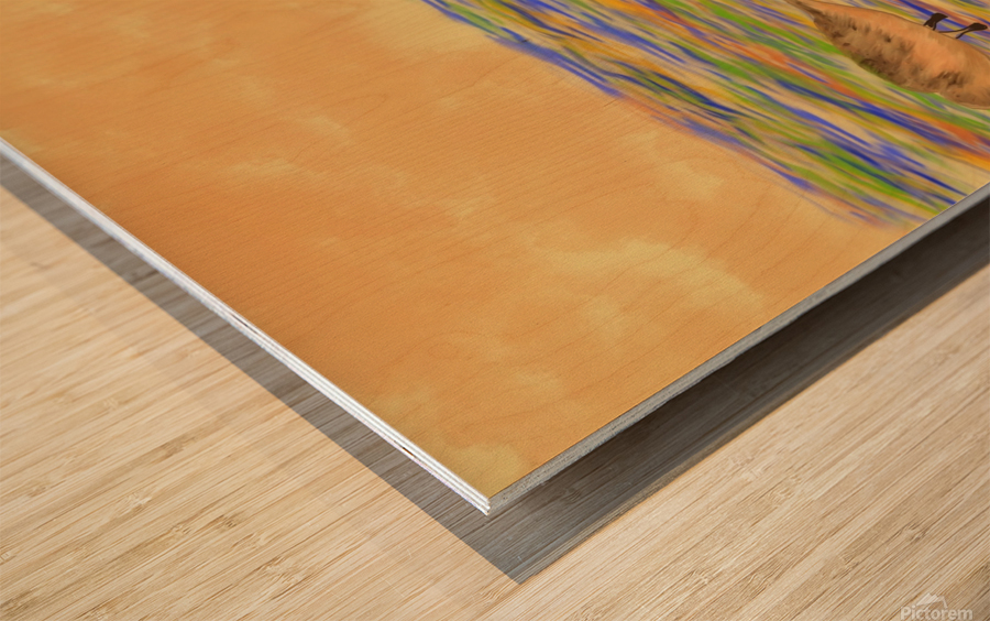 Sunset Snack Wood print