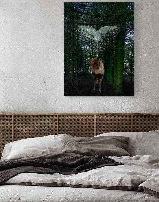 ISA  Icelandic Horse Photographed in Denmark by Guillaume