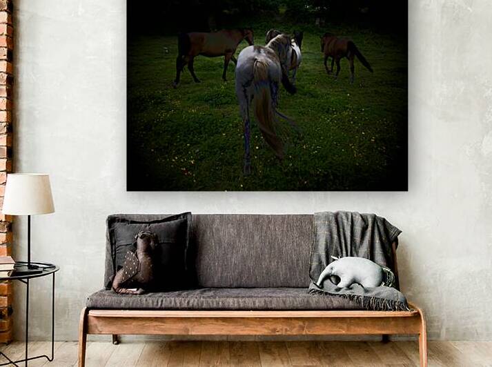  Svapna  स्वप्न Guillaume Gypsyhorsephoto 1 by Guillaume