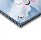 Georgia OKeeffe Pink Spotted Lily Acrylic print