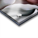 Georgia OKeeffe - Black Iris Acrylic print