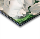 Georgia OKeeffe - The White Calico Flower  Acrylic print