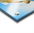  Georgia OKeeffe - Pelvis with the Distance Acrylic print