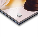 Georgia OKeeffe - Two White Shells One Black Shell Acrylic print