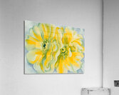 Georgia OKeeffe - Yellow cactus  1929 Acrylic Print
