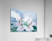 Georgia OKeeffe Pink Spotted Lily Acrylic Print