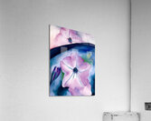 Georgia OKeeffe - Petunia II  Acrylic Print