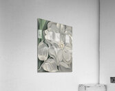 Georgia OKeeffe - The White Calico Flower .1931 Acrylic Print