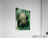 Georgia OKeeffe - Alligator Pears . 1923 Acrylic Print