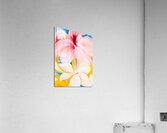 Georgia OKeeffe - Hibiscus with Plumeria Acrylic Print