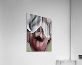 Georgia OKeeffe - Black Iris Acrylic Print