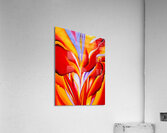 Georgia OKeeffe - Red Canna. 1924  Acrylic Print
