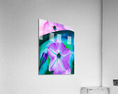 Georgia O’Keeffe - Petunia No. 2 Acrylic Print