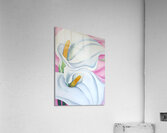 Georgia OKeeffe - Two Calla Lilies Acrylic Print