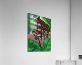 Georgia OKeeffe - Jack-in-Pulpit - No. 2 Acrylic Print