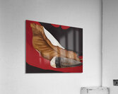 Georgia Okeeffe - Feather And Brown Leaf . A Acrylic Print