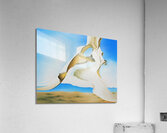  Georgia OKeeffe - Pelvis with the Distance Acrylic Print
