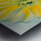 Georgia OKeeffe - Yellow cactus  1929 Metal print