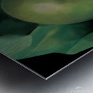 Georgia OKeeffe - Alligator Pears . 1923 Metal print