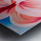 Georgia OKeeffe - Hibiscus with Plumeria Metal print