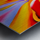 Georgia OKeeffe - Red Canna. 1924  Metal print