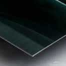 Georgia OKeeffe - Wave Night 1928 Metal print