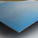  Georgia OKeeffe - Pelvis with the Distance Metal print