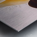 Georgia OKeeffe - Two White Shells One Black Shell Metal print